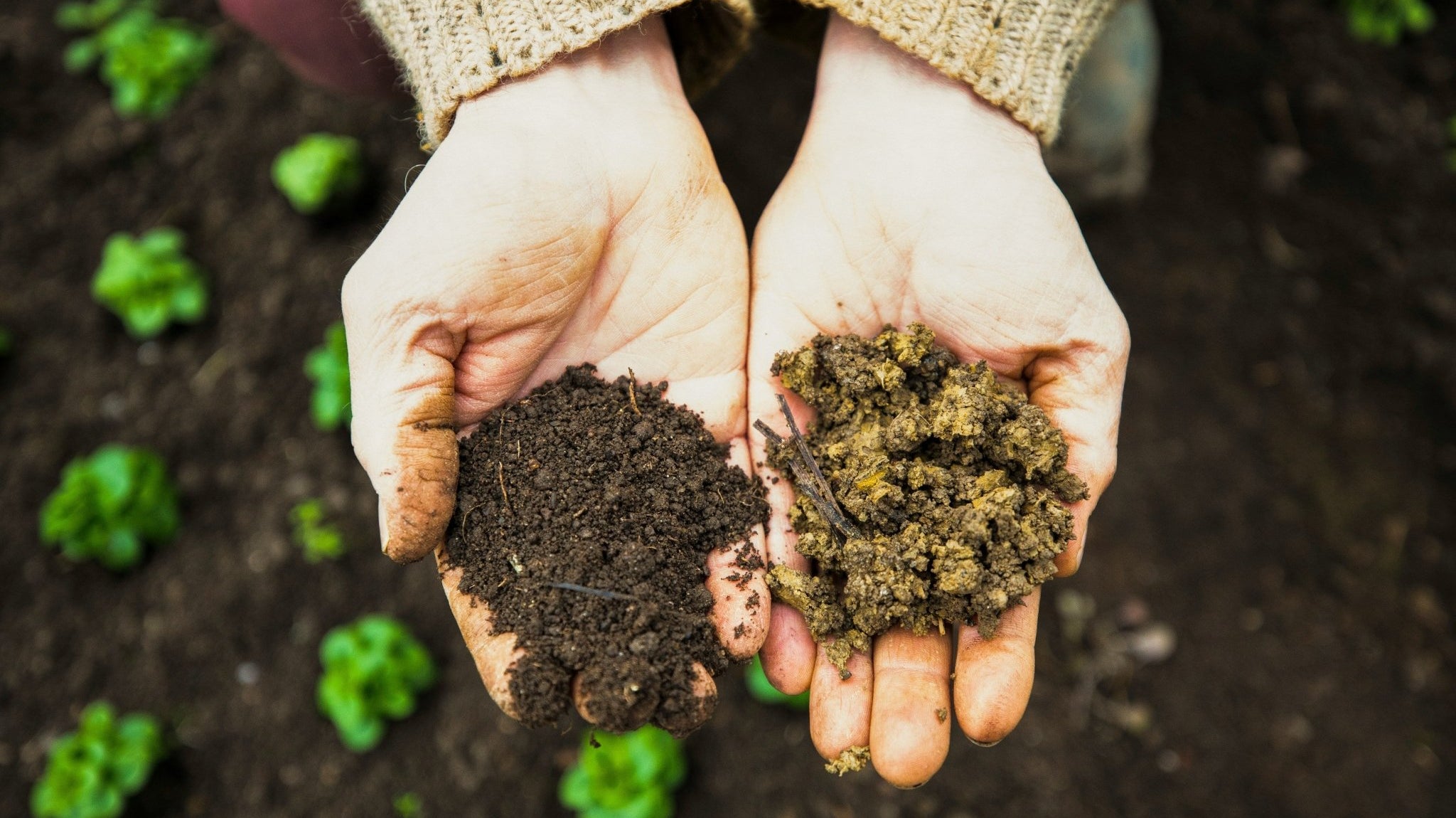 Hugelkultur : A Step-by-Step Guide to Filling Raised Beds Without Breaking the Bank