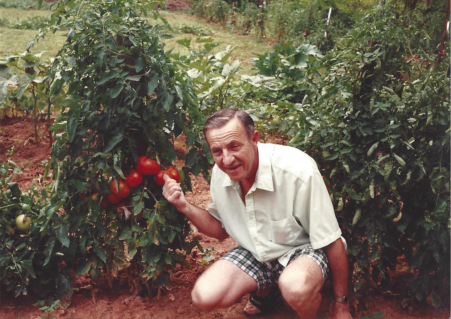 The Story of Gro-Rite Garden - Grandpa with tomatoes