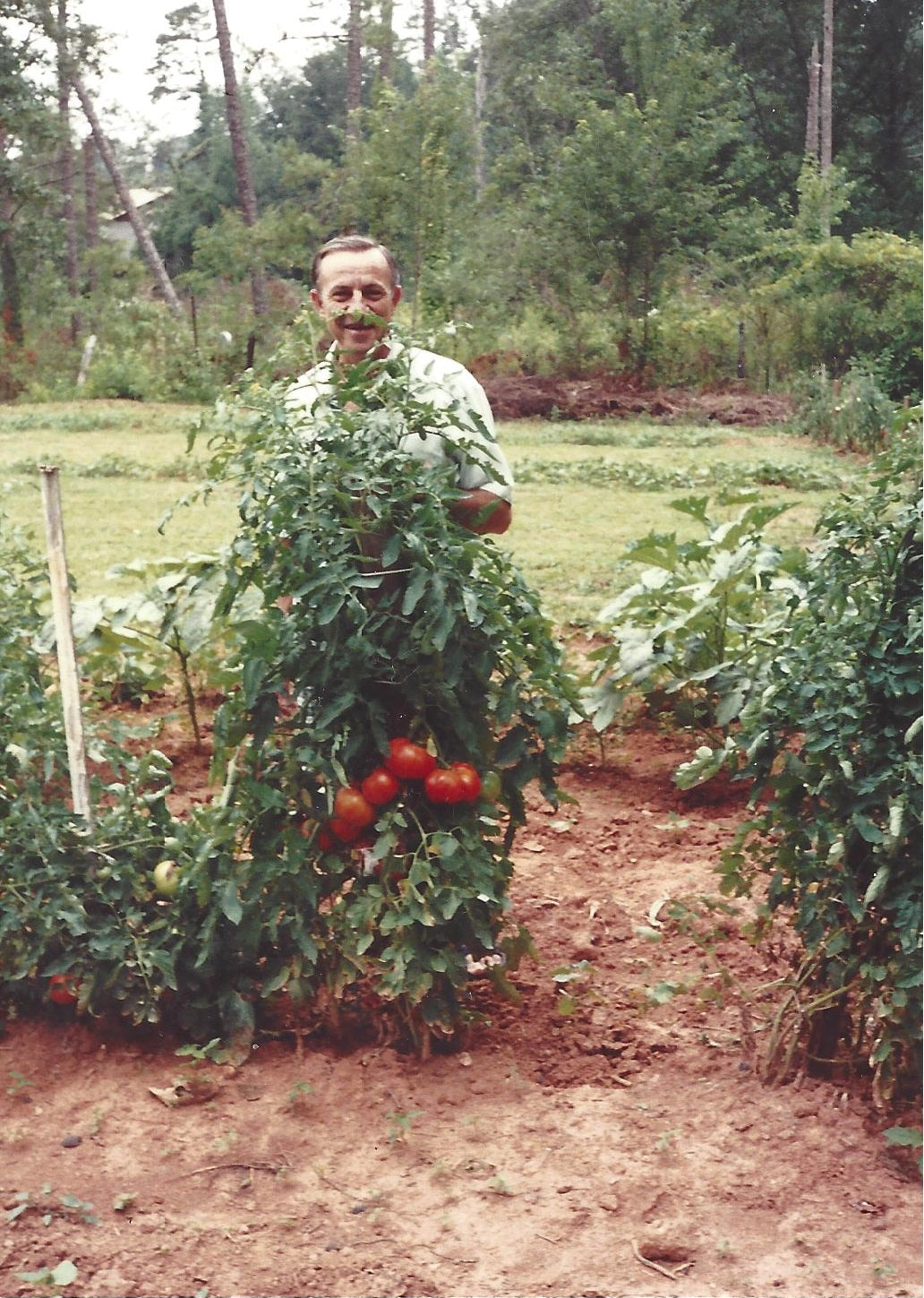 Tomato Over Rite The Story of a Dream (and Gro-Rite Garden) - Gro-Rite Garden USA | Gro ...