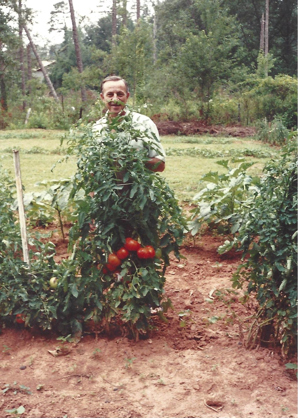 The Story of Gro-Rite Garden - Poppy with more tomatoes