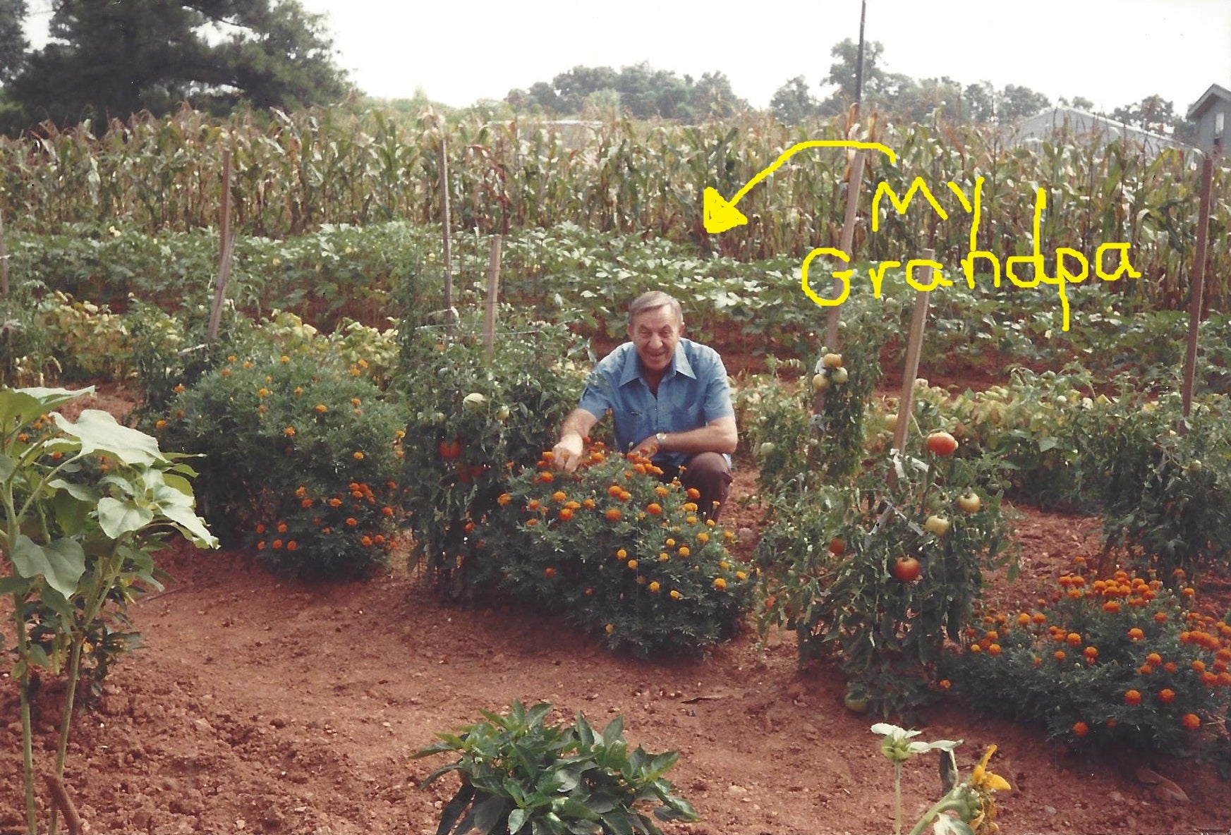 The Story of Gro-Rite Garden - My Grandpa